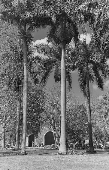 Bodas de noche en jardín con iluminación ambiental