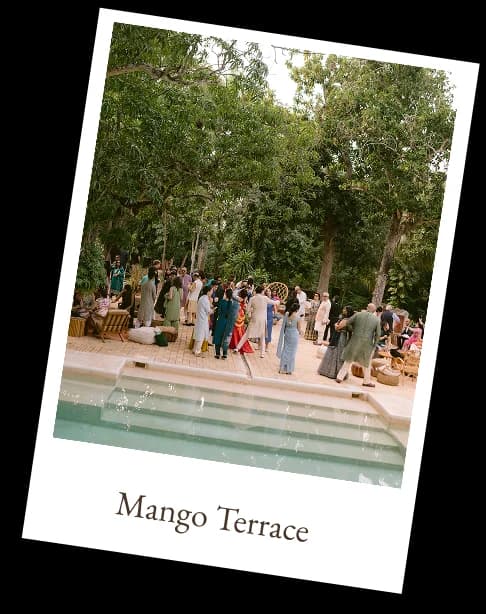Mango Terrace