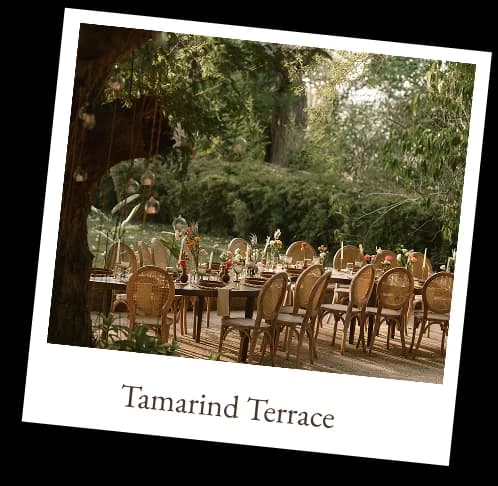 Tamarind Terrace